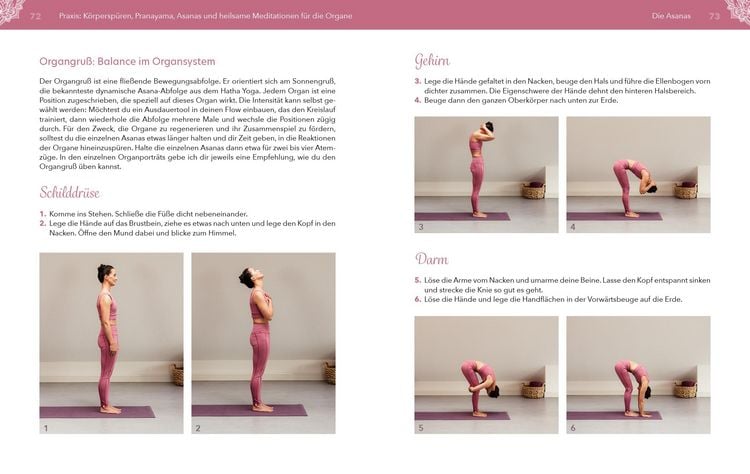 Produktbild: Yoga f&uuml;r die Organe