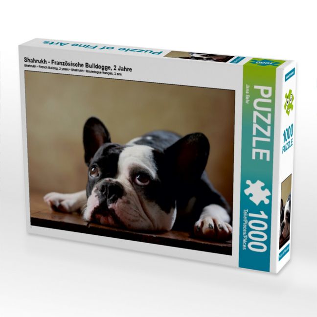 Produktbild: CALVENDO Puzzle Shahrukh - Franz&ouml;sische Bulldogge, 2 Jahre 1000 Teile Puzzle quer | 1000 Teile Lege-Gr&ouml;&szlig;e 64 &times; 48 cm Foto-Puzzle f&uuml;r gl&uuml;ckliche Stunden
