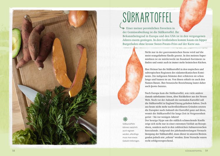 Produktbild: Regrow your veggies