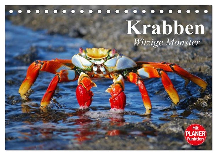 Produktbild: Krabben. Witzige Monster (Tischkalender 2026 DIN A5 quer), CALVENDO Monatskalender