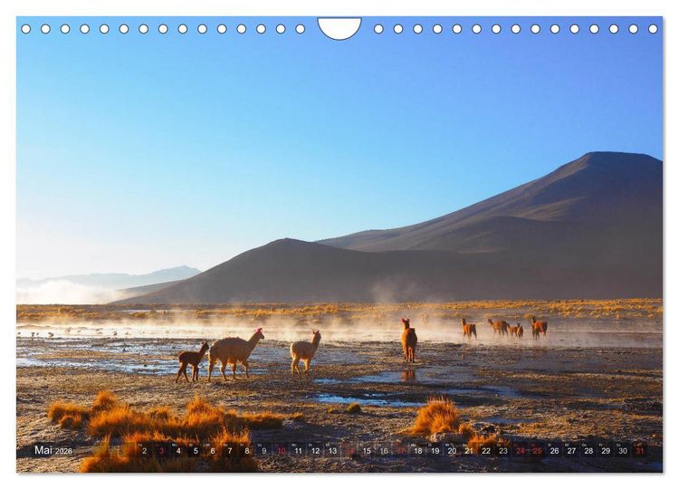 Produktbild: Peru und Bolivien - Traumlandschaften (Wandkalender 2026 DIN A4 quer), CALVENDO Monatskalender