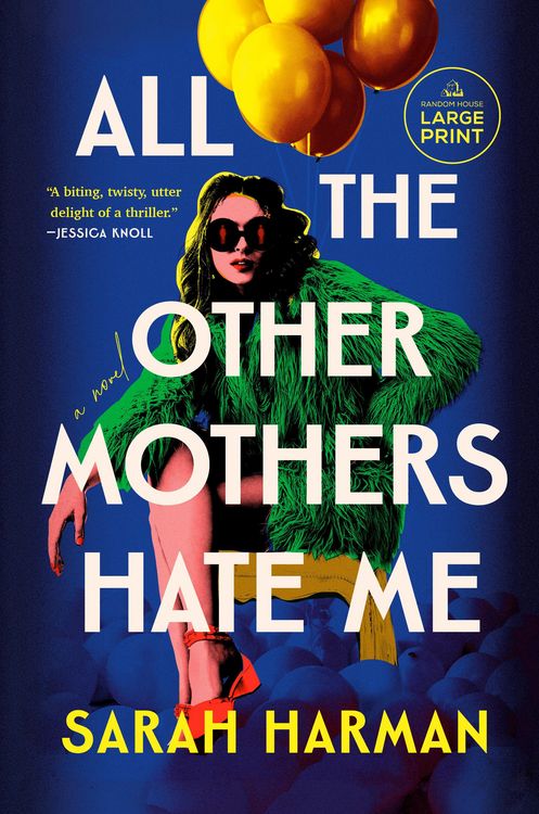 Produktbild: All the Other Mothers Hate Me
