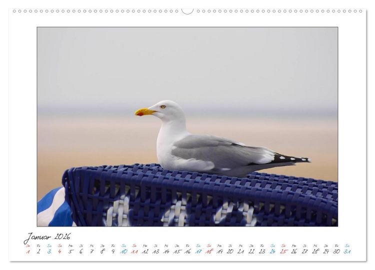 Produktbild: Amrum - Farben einer Insel (Wandkalender 2026 DIN A2 quer), CALVENDO Monatskalender