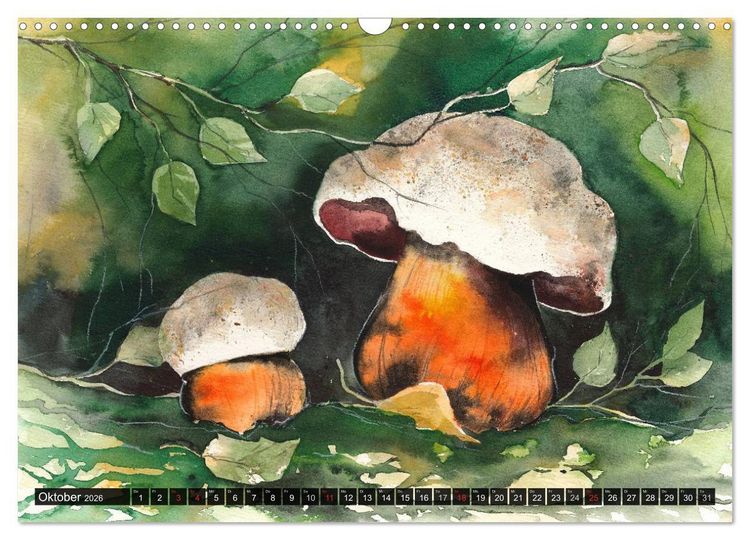 Produktbild: Pilze in Aquarell (Wandkalender 2026 DIN A3 quer), CALVENDO Monatskalender