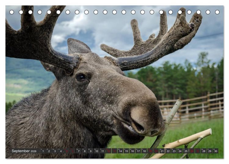Produktbild: Norwegen, Oppland (Tischkalender 2026 DIN A5 quer), CALVENDO Monatskalender