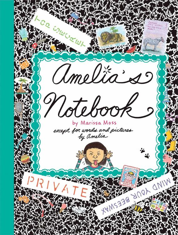 Produktbild: Amelia's Notebook