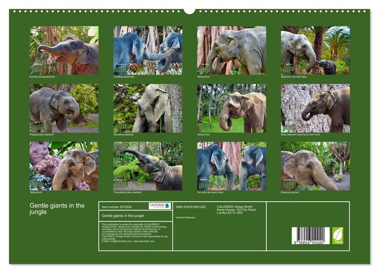 Produktbild: Gentle giants in the jungle (High Quality Premium Wall Calendar 2026 DIN A2 landscape),CALVENDO 12 Month Wall Calendar