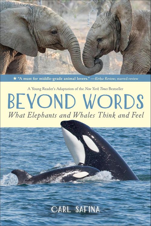 Produktbild: Beyond Words: What Elephants and Whales Think and Feel