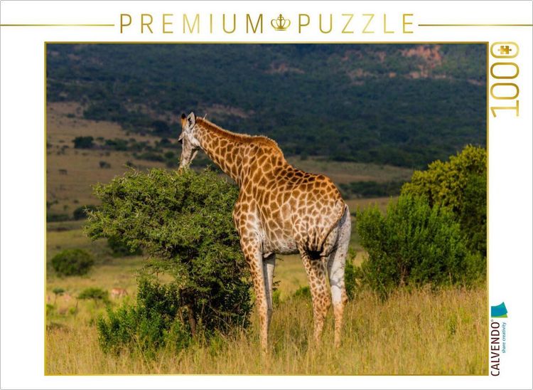 Produktbild: CALVENDO Puzzle Von oben her wird gefressen, Ihtala Game Reserve, S&uuml;dafrika | 1000 Teile Lege-Gr&ouml;&szlig;e 64x48cm Foto-Puzzle f&uuml;r gl&uuml;ckliche Stunden