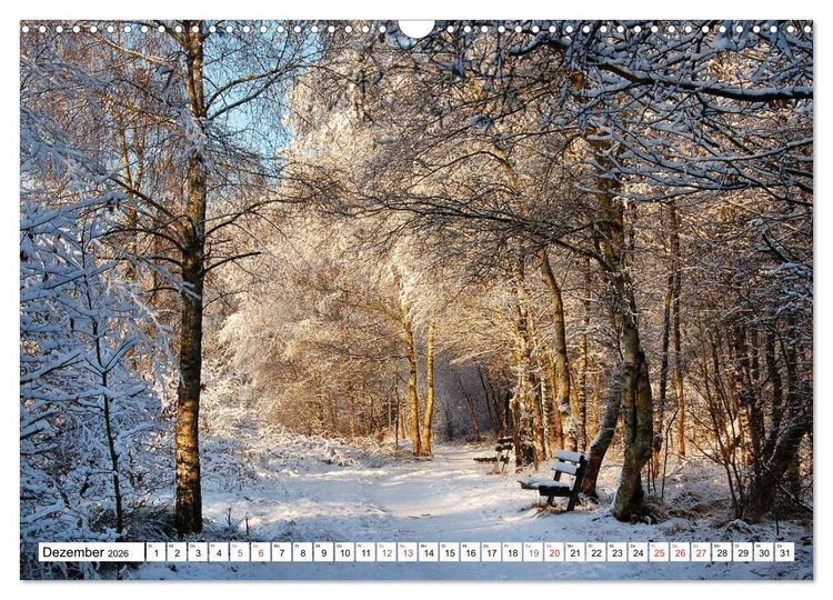Produktbild: Wege gehen... (Wandkalender 2026 DIN A3 quer), CALVENDO Monatskalender