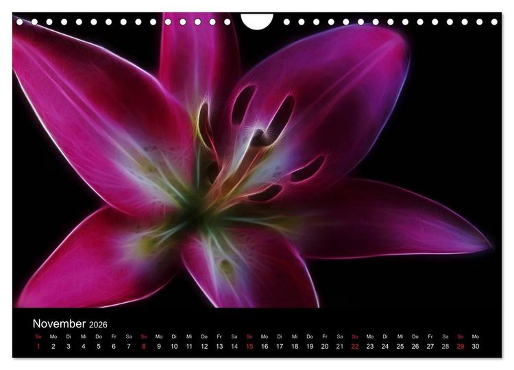 Produktbild: Floral Abstrakt 2026 (Wandkalender 2026 DIN A4 quer), CALVENDO Monatskalender