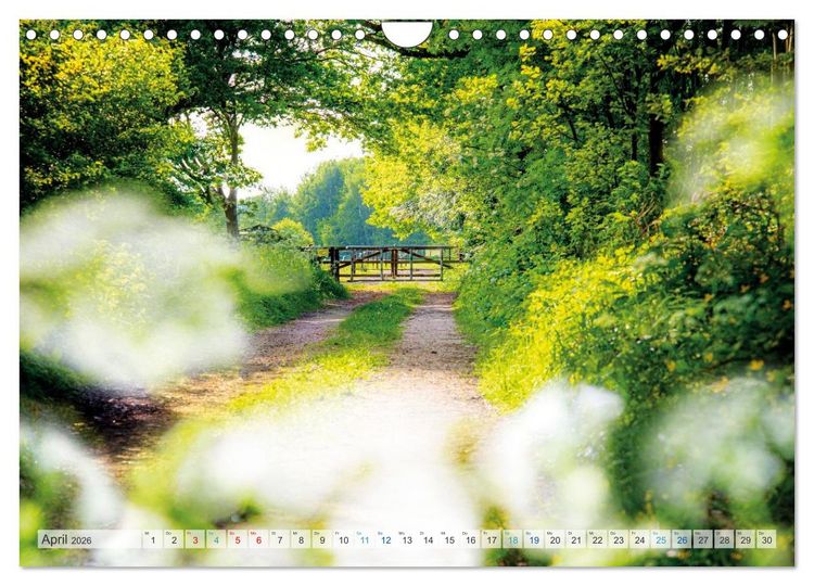 Produktbild: Mein Norderstedt (Wandkalender 2026 DIN A4 quer), CALVENDO Monatskalender