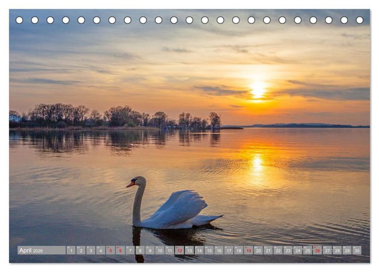 Produktbild: Der Schwanentanz (Tischkalender 2026 DIN A5 quer), CALVENDO Monatskalender