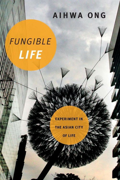 Produktbild: Fungible Life