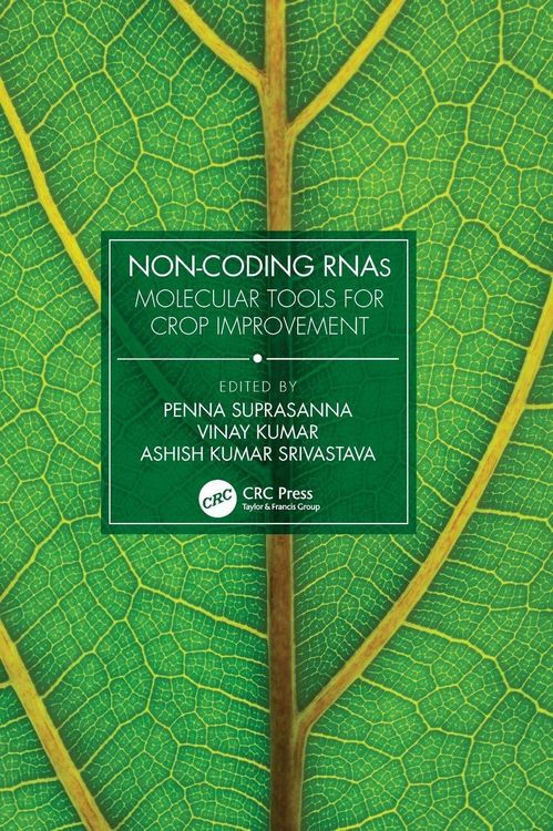 Produktbild: Non-Coding RNAs
