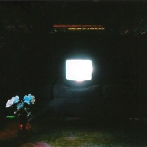Produktbild: DOES IT LOOK LIKE IM HERE? (Ltd. Ectoplasm Vinyl)