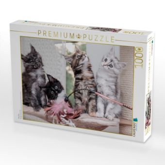 Produktbild: CALVENDO Puzzle New Kitts | 1000 Teile Lege-Gr&ouml;&szlig;e 64x48cm Foto-Puzzle f&uuml;r gl&uuml;ckliche Stunden
