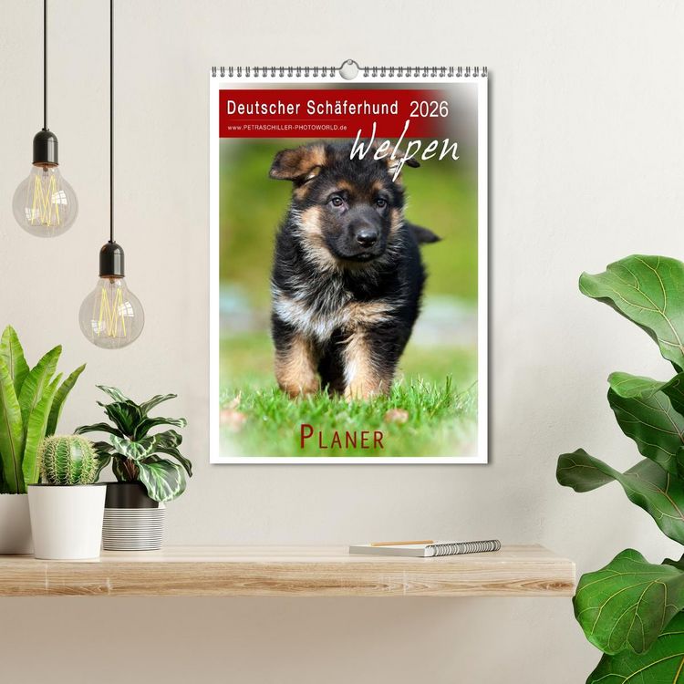 Produktbild: Deutscher Sch&auml;ferhund - Welpen, Planer (Wandkalender 2026 DIN A3 hoch), CALVENDO Monatskalender