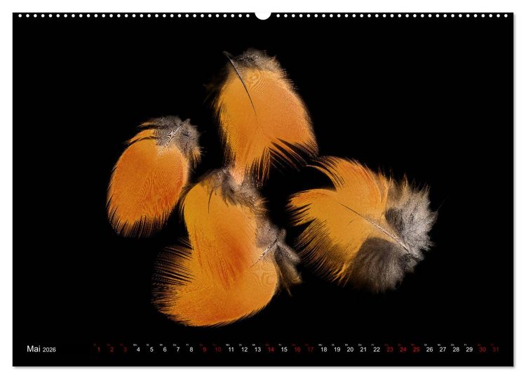 Produktbild: Federleichte Momente (Wandkalender 2026 DIN A2 quer), CALVENDO Monatskalender