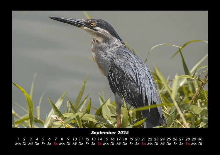 Produktbild: Natur 2025 Fotokalender DIN A3