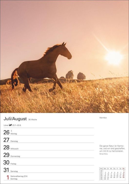 Produktbild: Pferde Wochenplaner 2027 - 53 faszinierende Fotografien