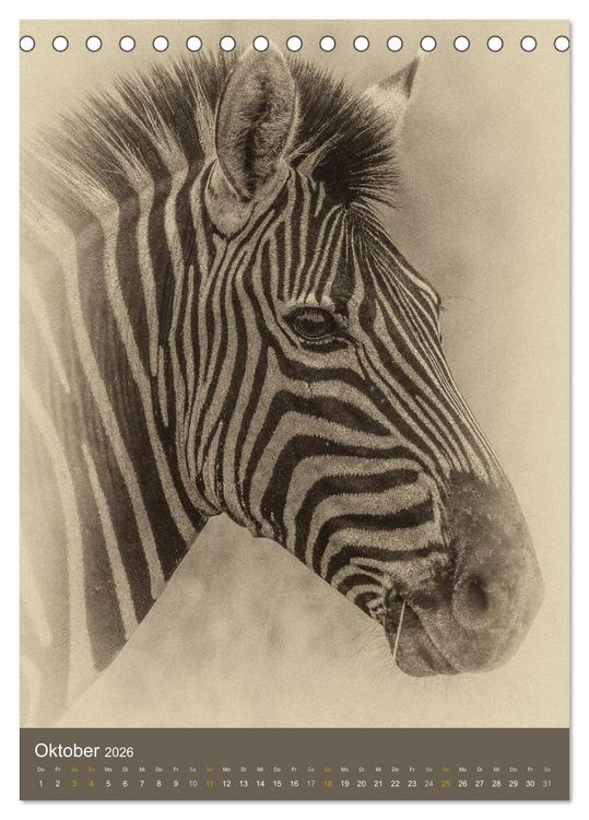 Produktbild: Afrikas Tierwelt - Sepia-Art (Tischkalender 2026 DIN A5 hoch), CALVENDO Monatskalender