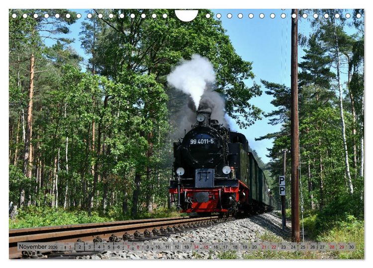 Produktbild: Mit Dampf durch die Natur R&uuml;gens (Wandkalender 2026 DIN A4 quer), CALVENDO Monatskalender