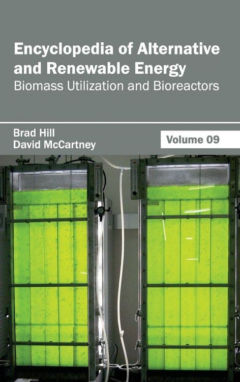 Produktbild: Encyclopedia of Alternative and Renewable Energy