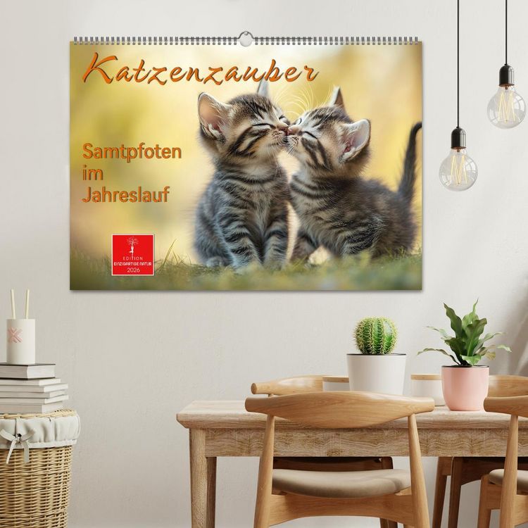 Produktbild: Katzenzauber - Samtpfoten im Jahreslauf (Wandkalender 2026 DIN A2 quer), CALVENDO Monatskalender