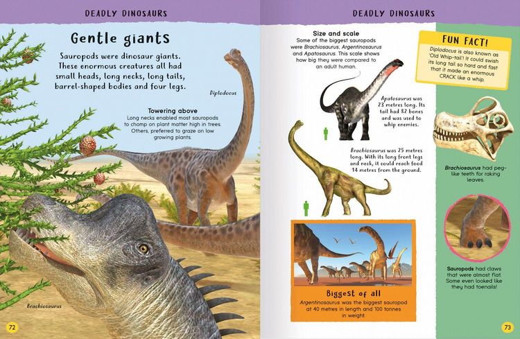 Produktbild: Encyclopedia of Amazing Facts