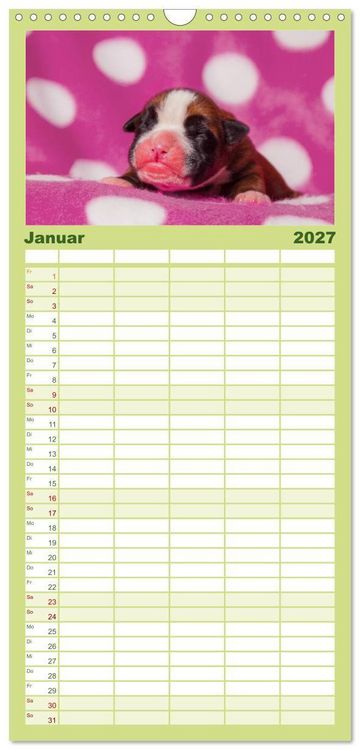 Produktbild: Familienplaner 2027 - Wenn ich gro&szlig; bin werd' ich Boxer mit 5 Spalten (Wandkalender, 21 x 45 cm) CALVENDO