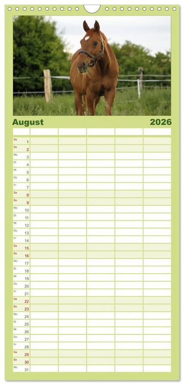 Produktbild: Familienplaner 2026 - Faszination Pferde mit 5 Spalten (Wandkalender, 21 x 45 cm) CALVENDO