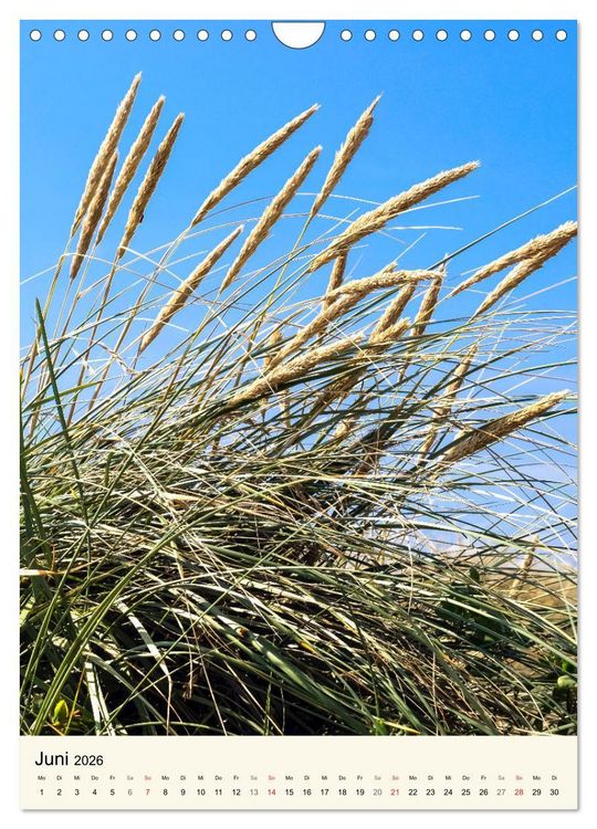 Produktbild: LANGEOOG Strandspaziergang (Wandkalender 2026 DIN A4 hoch), CALVENDO Monatskalender