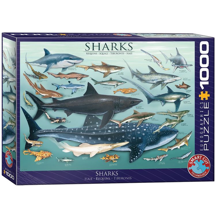 Produktbild: Sharks