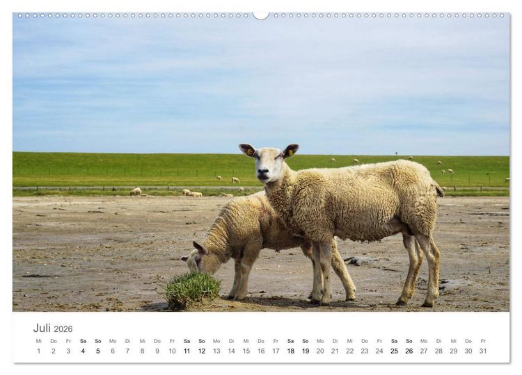 Produktbild: Nordfriesland (hochwertiger Premium Wandkalender 2026 DIN A2 quer), Kunstdruck in Hochglanz