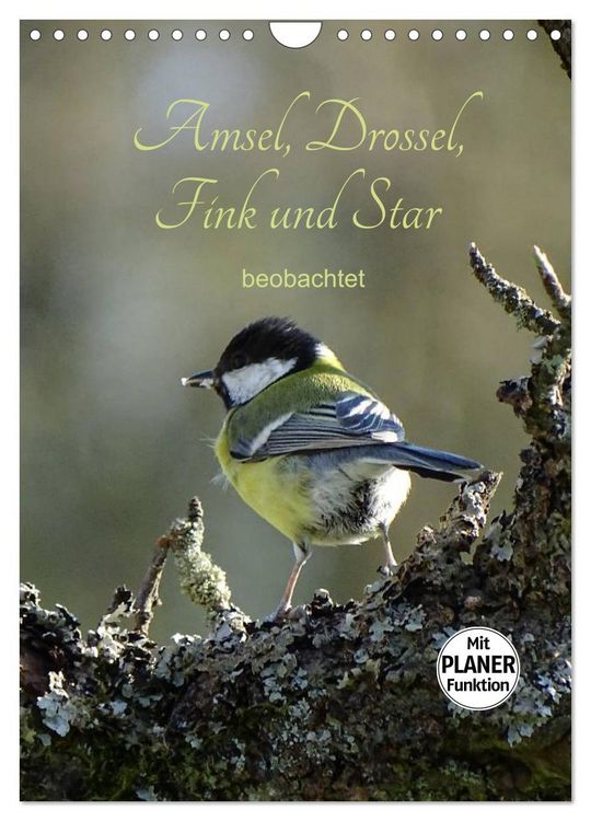 Produktbild: Amsel, Drossel, Fink und Star - beobachtet (Wandkalender 2026 DIN A4 hoch), CALVENDO Monatskalender
