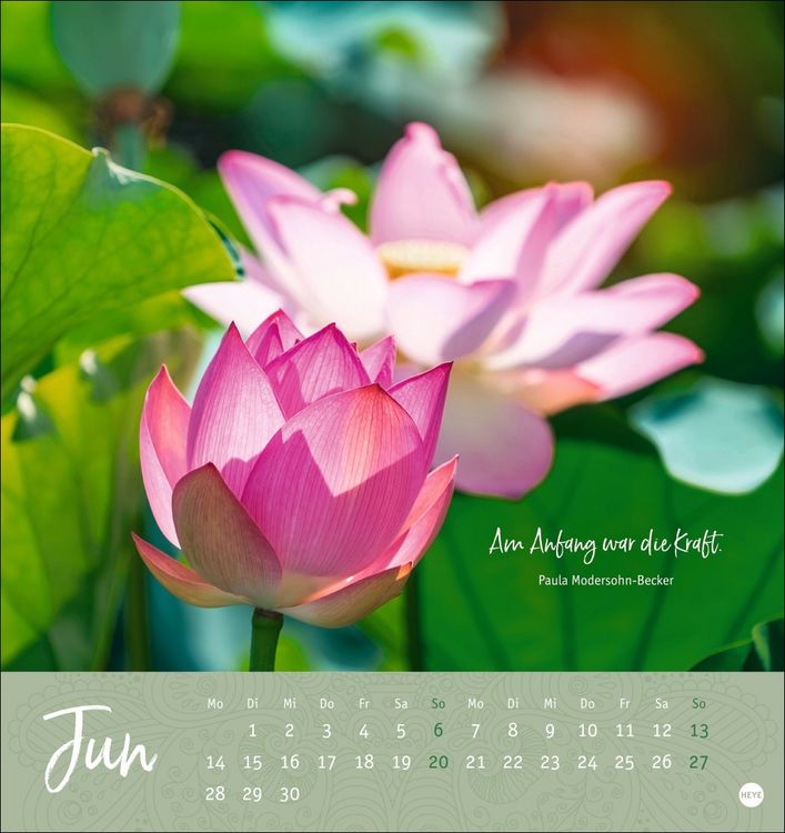 Produktbild: Augenblicke voller Zuversicht Postkartenkalender 2027