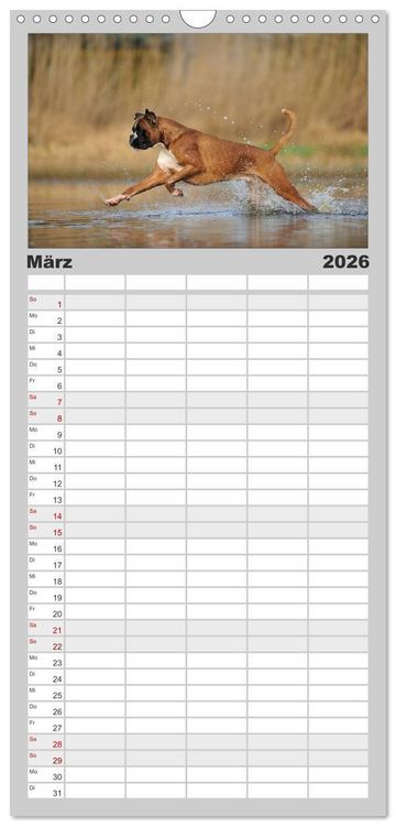 Produktbild: Familienplaner 2026 - Gut - besser - Boxer mit 5 Spalten (Wandkalender, 21 x 45 cm) CALVENDO