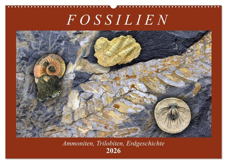 Produktbild: Fossilien - Ammoniten, Trilobiten, Erdgeschichte (Wandkalender 2026 DIN A2 quer), CALVENDO Monatskalender