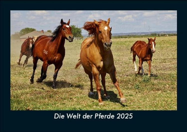 Produktbild: Die Welt der Pferde 2025 Fotokalender DIN A5