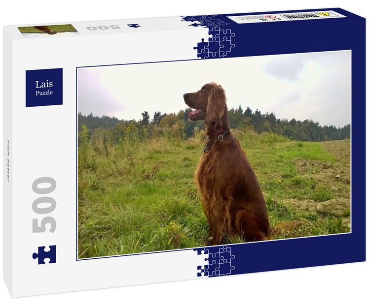 Produktbild: Lais Puzzle Irish Setter 500 Teile