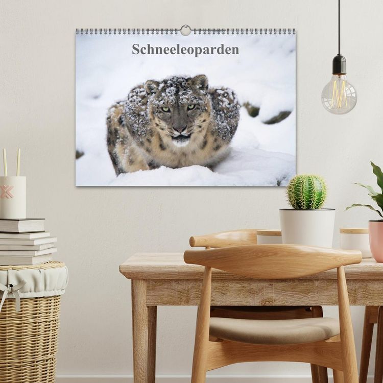 Produktbild: Schneeleoparden (Wandkalender 2026 DIN A3 quer), CALVENDO Monatskalender