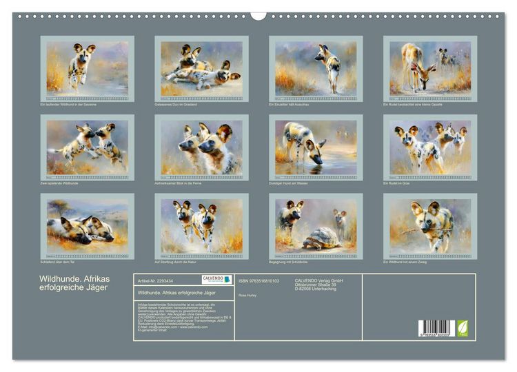 Produktbild: Wildhunde. Afrikas erfolgreiche J&auml;ger (Wandkalender 2027 DIN A2 quer), CALVENDO Monatskalender