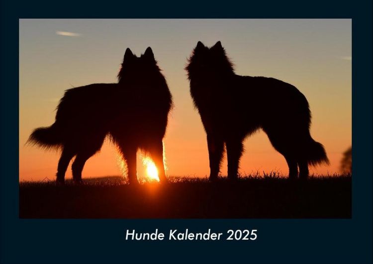 Produktbild: Hunde Kalender 2025 Fotokalender DIN A4