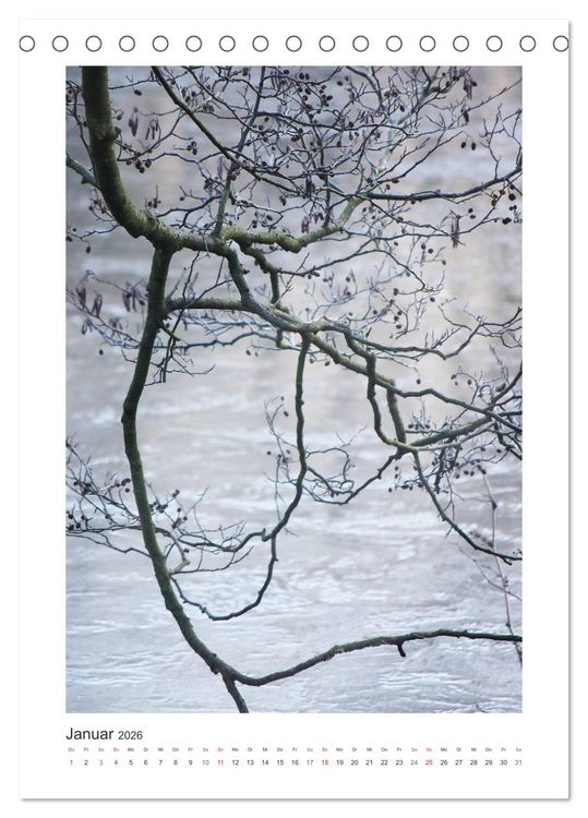 Produktbild: Impressionen aus unserem Wald (Tischkalender 2026 DIN A5 hoch), CALVENDO Monatskalender