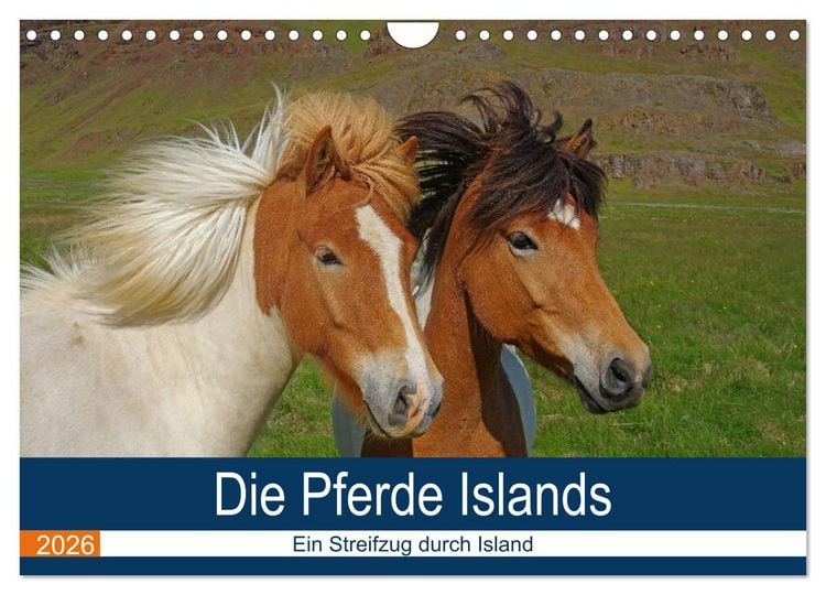 Produktbild: Die Pferde Islands - Ein Streifzug durch Island (Wandkalender 2026 DIN A4 quer), CALVENDO Monatskalender