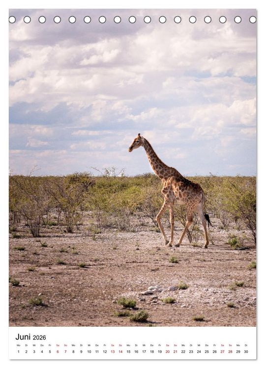 Produktbild: Naturparadies Namibia (Tischkalender 2026 DIN A5 hoch), CALVENDO Monatskalender