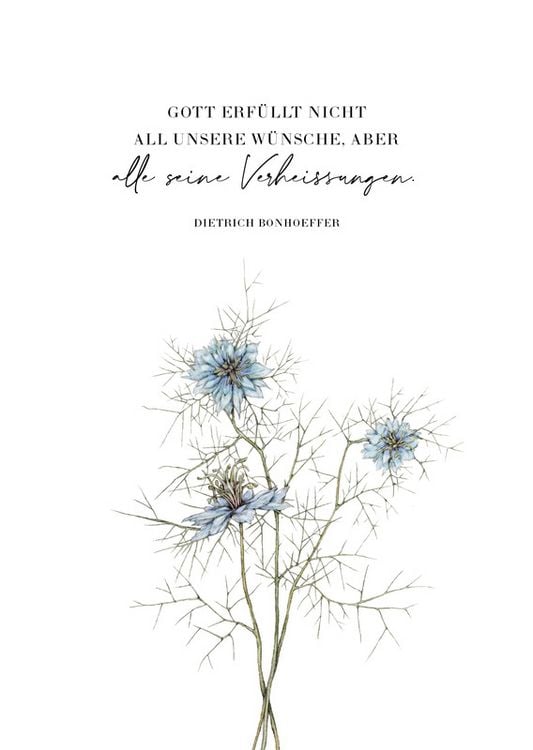 Produktbild: SegensW&uuml;nsche
