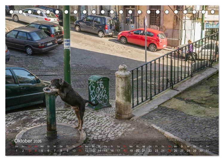 Produktbild: Zauberhaftes Lissabon (Tischkalender 2026 DIN A5 quer), CALVENDO Monatskalender
