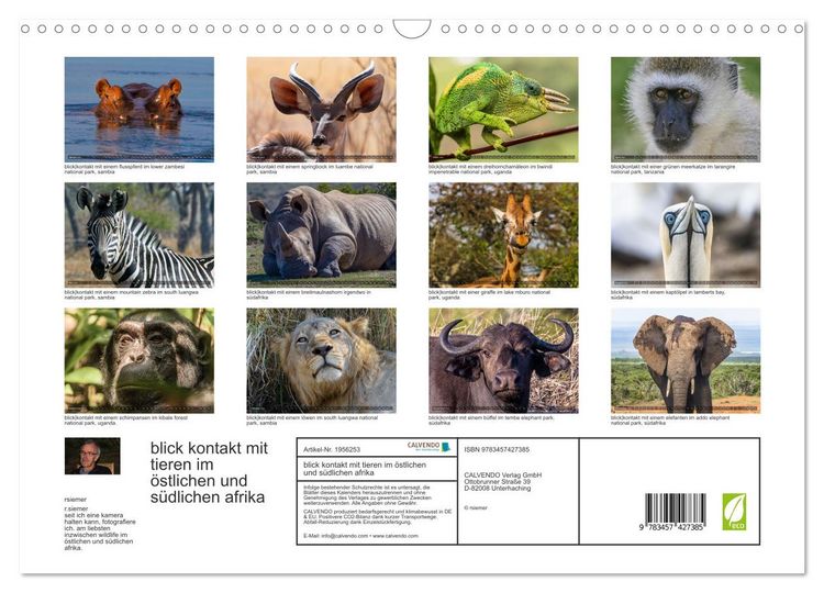 Produktbild: blick kontakt mit tieren im &ouml;stlichen und s&uuml;dlichen afrika (Wandkalender 2026 DIN A3 quer), CALVENDO Monatskalender